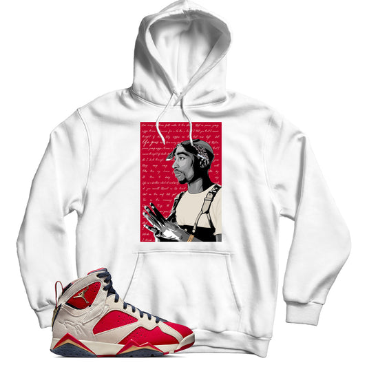 Jordan 7 Trophy Room hoodie