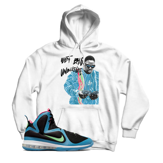 LeBron South Coast hoodie