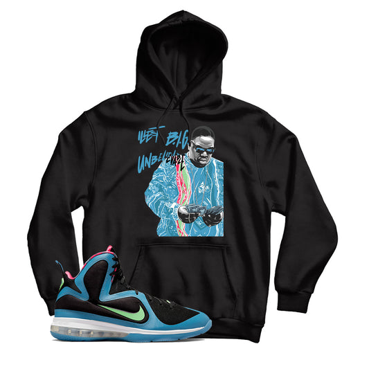 LeBron 9 South Coast hoodie